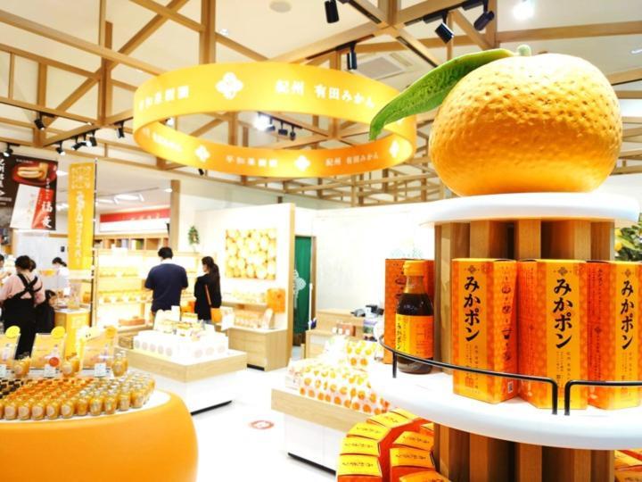 白浜町 風 - Family House Kaze -ヴィラ エクステリア 写真